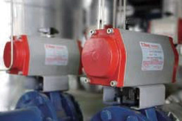 Pneumatic value
