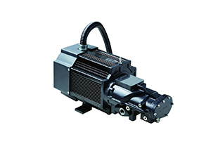 Permanent magnet motor